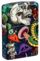 Zippo Psychedelic Skull 60007650